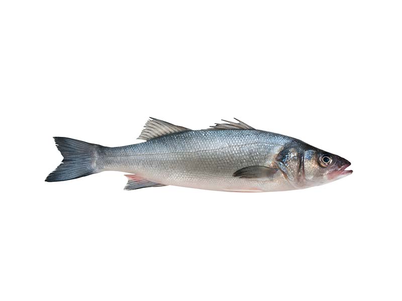 Artikelbild Loup de Mer geschuppt 1.6/2.6 kg 7494