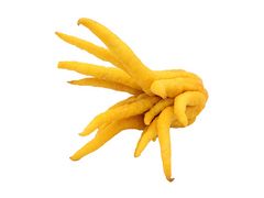 Artikelbild Buddhas Hand ca. 500 g 2661